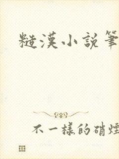 糙汉小说笔趣阁