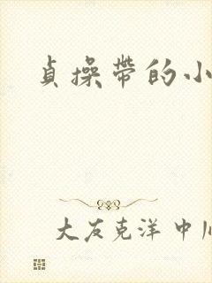 贞操带的小说