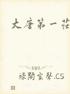 大唐第一庄