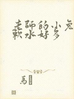 老师的小兔子好软水好多