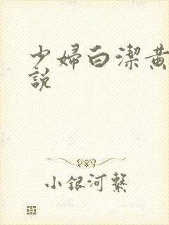 少妇白洁黄色小说