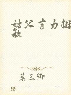 姑父有力挺送赵敏