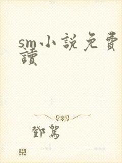 sm小说免费阅读