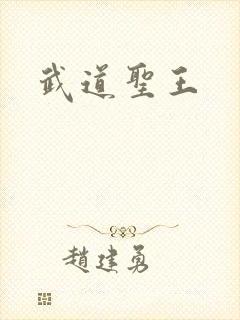 武道圣王