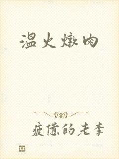 温火炖肉