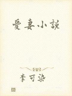 爱妻小说