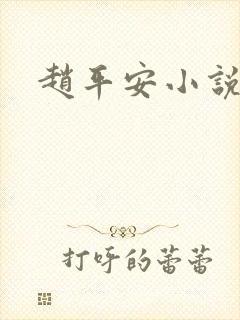 赵平安小说主角