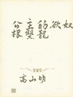 公主的欲奴h四根双龙