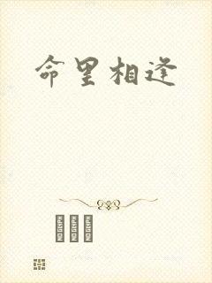 命里相逢