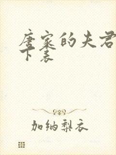 唐家的夫君们帘下衾