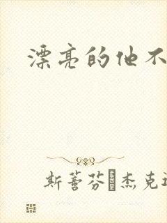 漂亮的他不说话