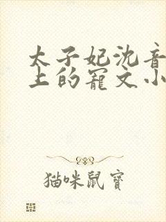 太子妃沈音和皇上的宠文小说