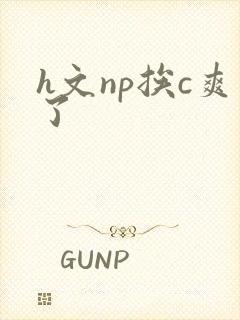 h文np挨c爽了