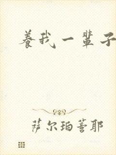 养我一辈子封面