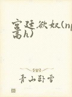 宫廷欲奴(np高h)