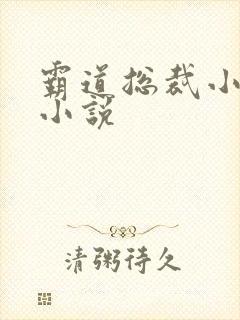 霸道总裁小娇妻小说