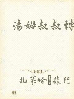 汤姆叔叔转接口