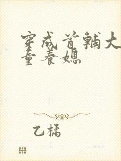 穿成首辅大人的童养媳