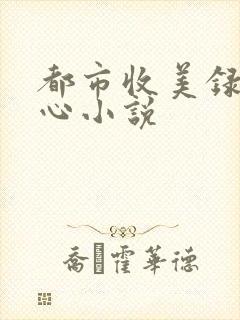 都市收美录宁素心小说