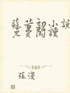 苏若初小说全文免费阅读封面