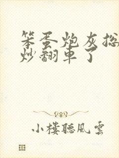 笨蛋炮灰总被爆炒翻车了