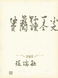 他最野了小说免费阅读全文