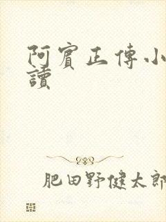 阿宾正传小说在读