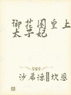 御花园皇上撞着太子妃