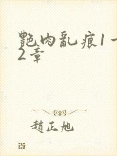 《艳肉乱痕1一12章》小说封面