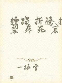 糟蹋 折腾 撕裂 疼 死 哀求封面