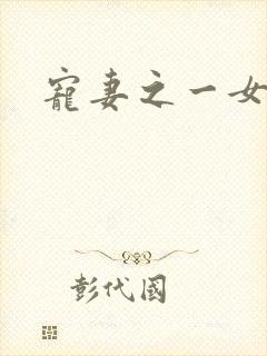 宠妻之一女二夫