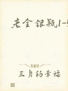 老金银瓶1-5