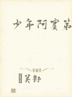 少年阿宾第二部