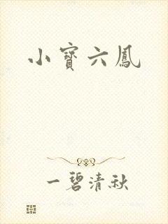 小宝六凤
