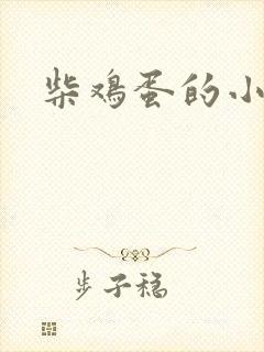 柴鸡蛋的小说