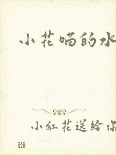 小花喵的水蜜桃封面