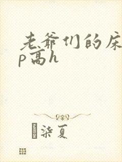 老爷们的床奴np高h