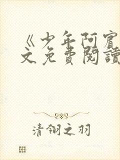 《少年阿宾》全文免费阅读