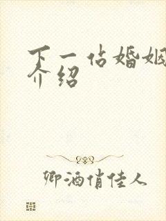 下一站婚姻剧情介绍