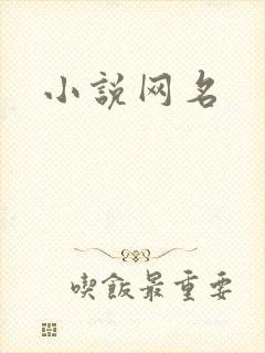 小说网名