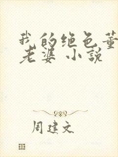 我的绝色董事长老婆 小说