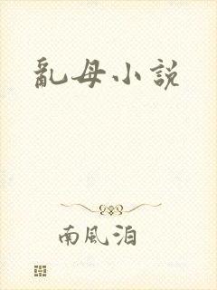 乱母小说