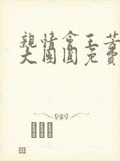 亲情会王芳高敏大团圆免费阅读