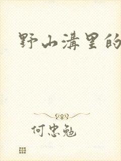 野山沟里的村庄