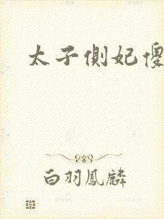 太子侧妃傻乎乎