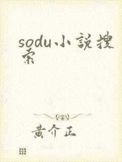 sodu小说搜索