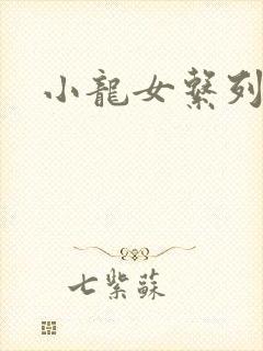 小龙女系列小说