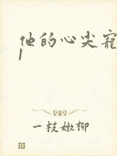 他的心尖宠1v1