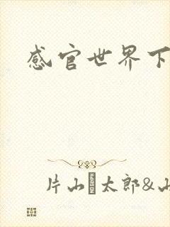 感官世界下载