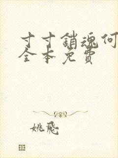 寸寸销魂何生祥全本免费